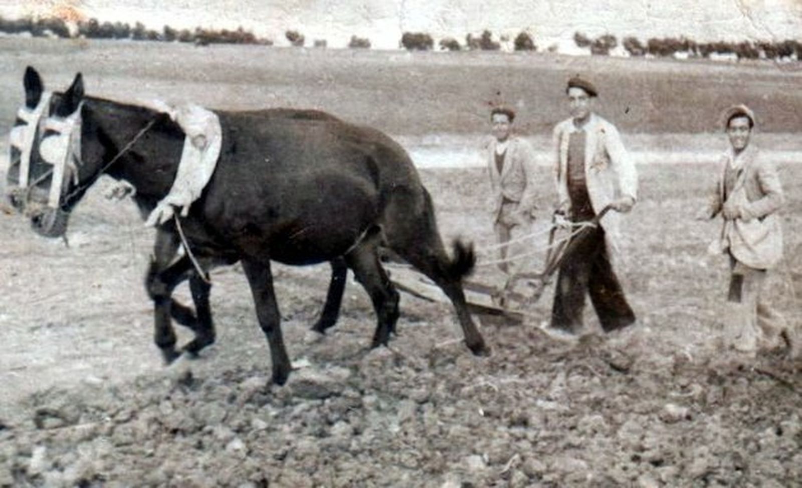 La posguerra española, ¿represión contra los protestantes?