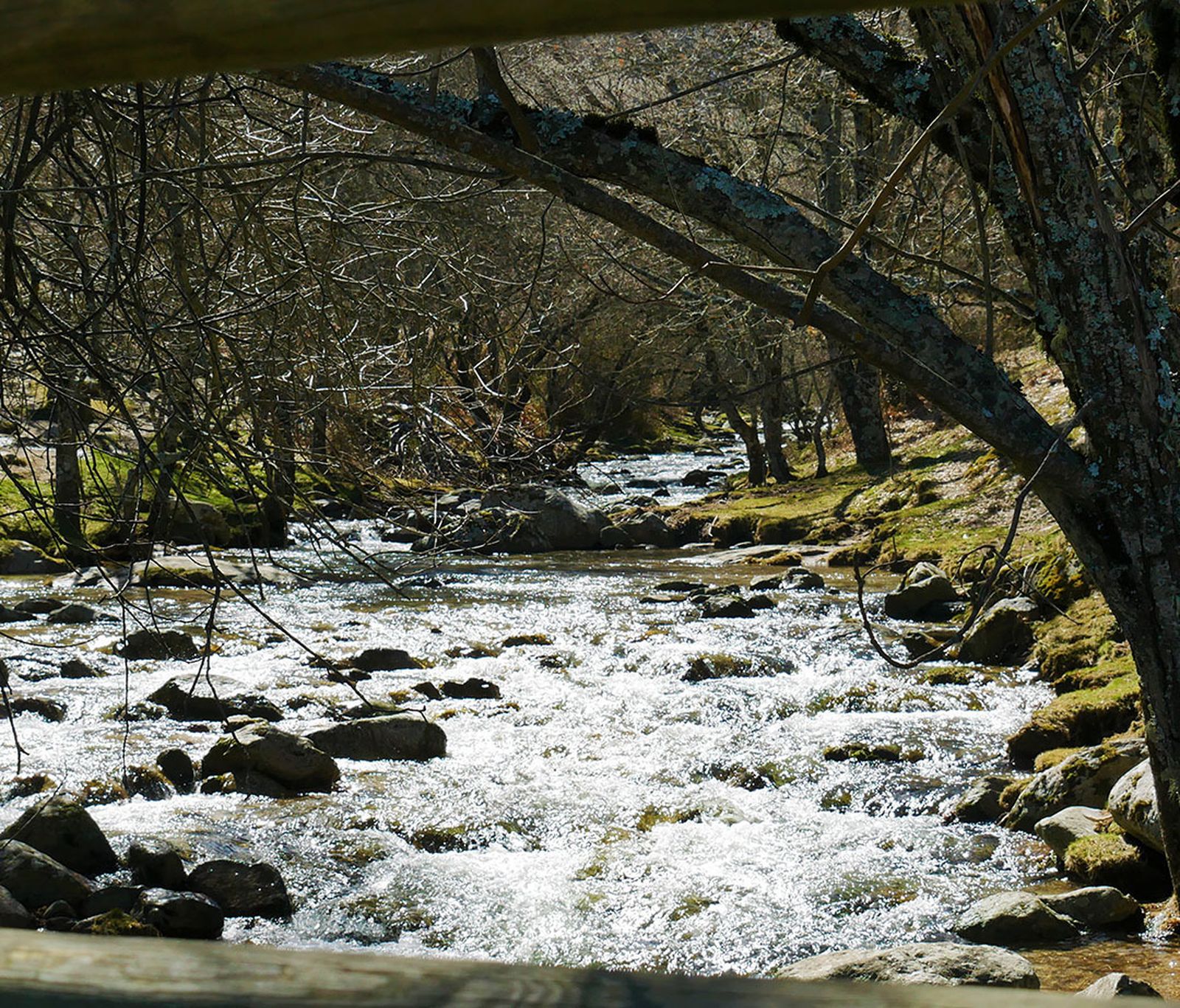 La convergencia de las aguas en el río mayor