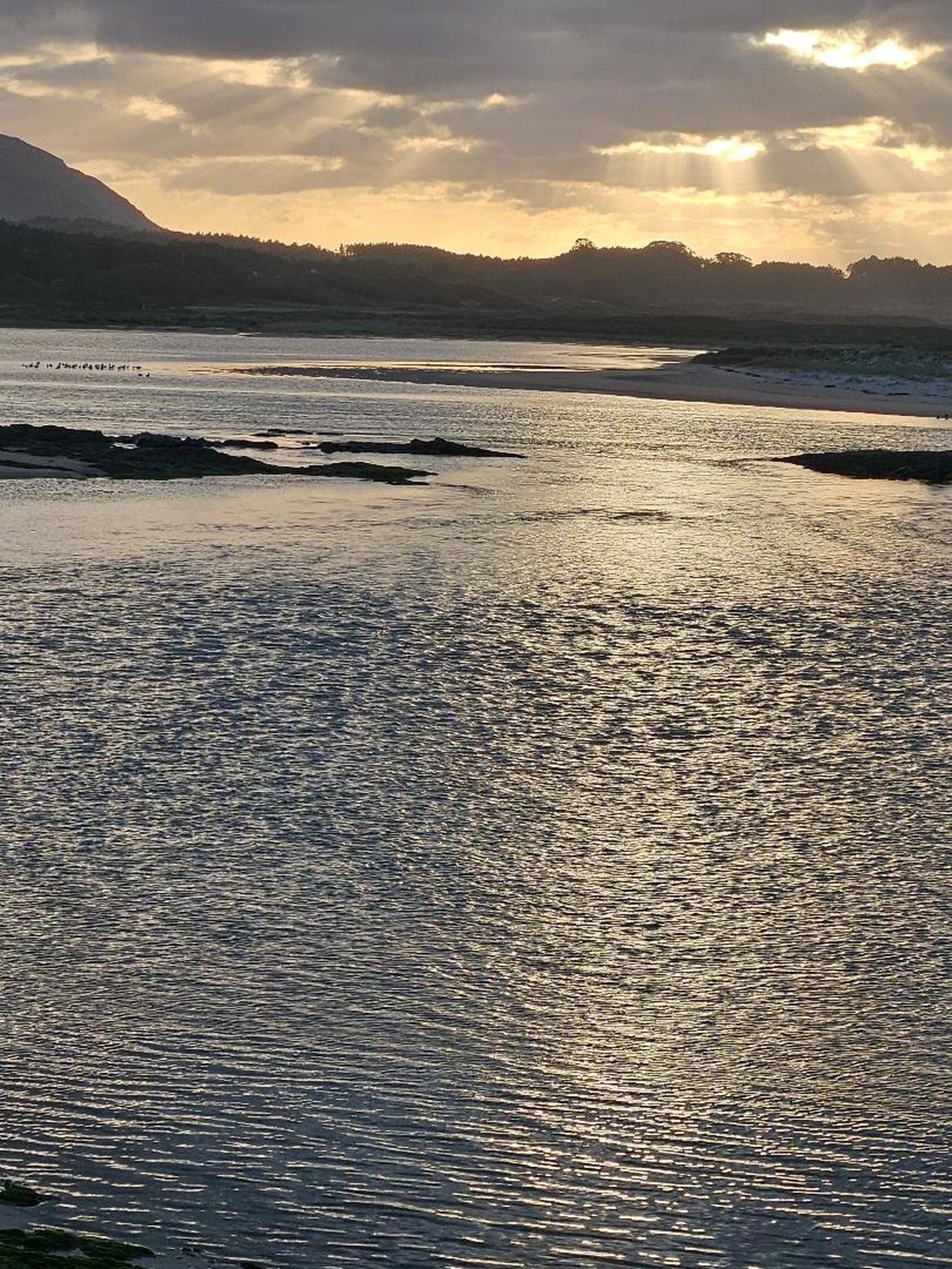 Laguna