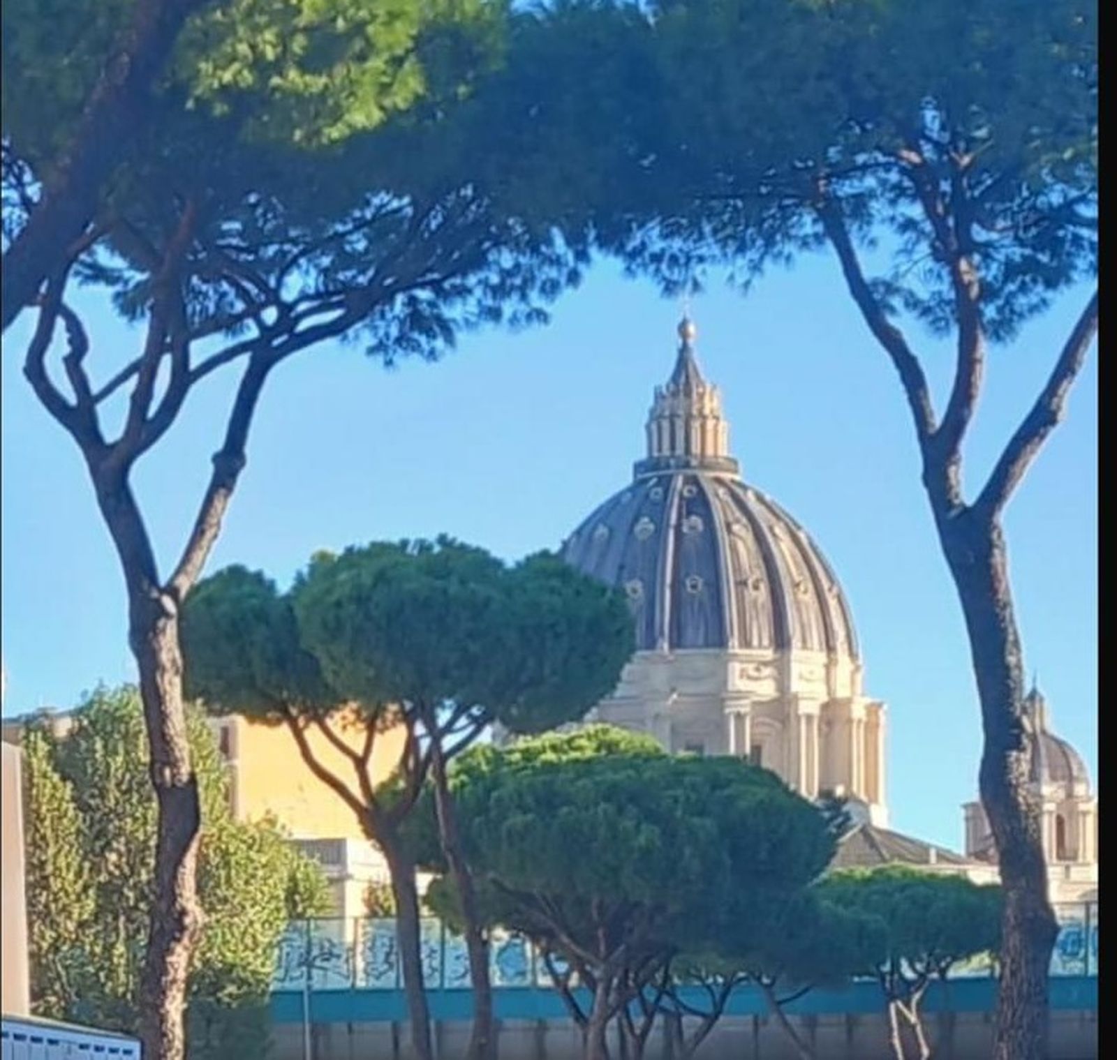 Vaticano