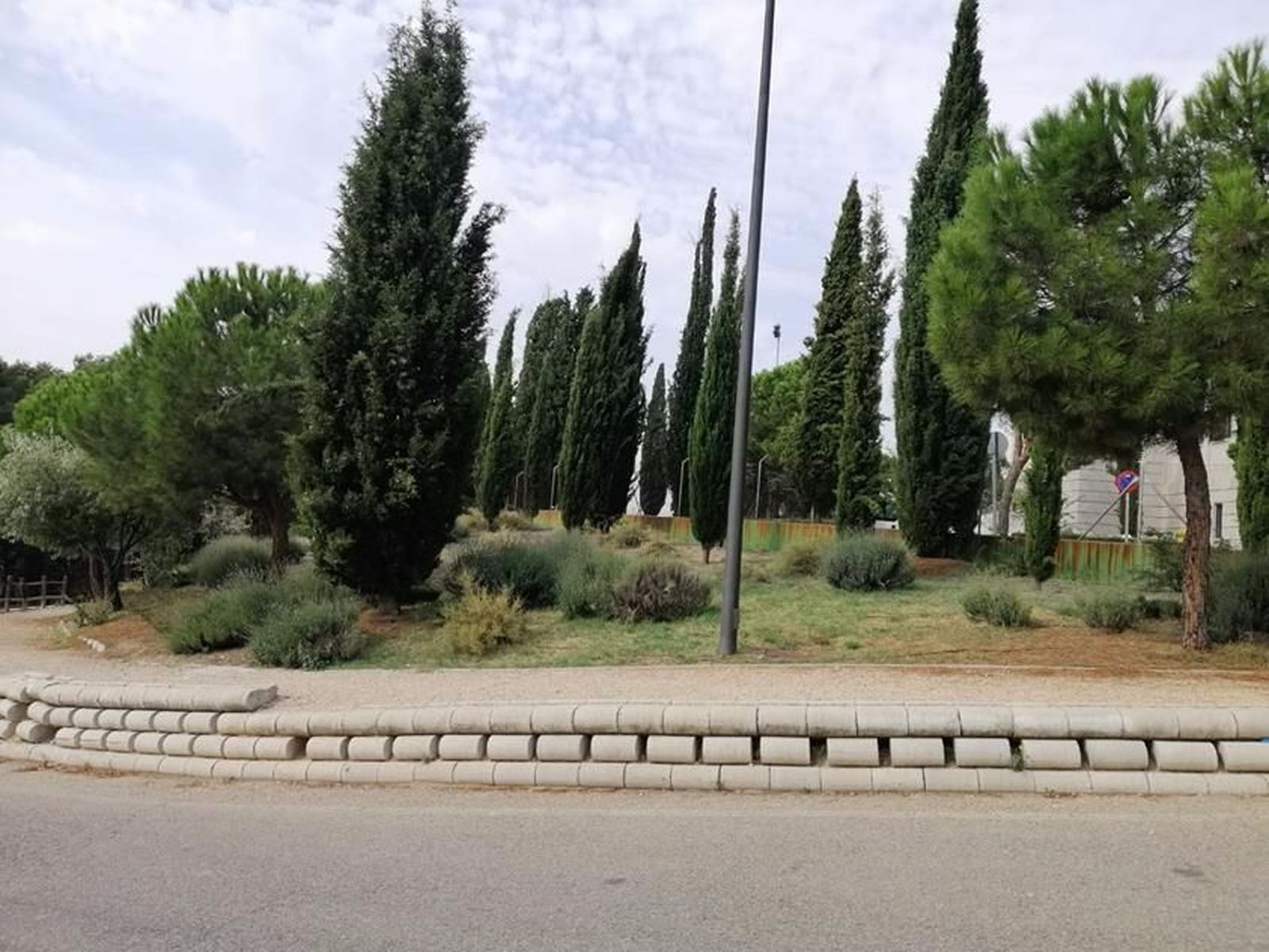 Espacio donde se instalará el Olivar Centenario, Getafe