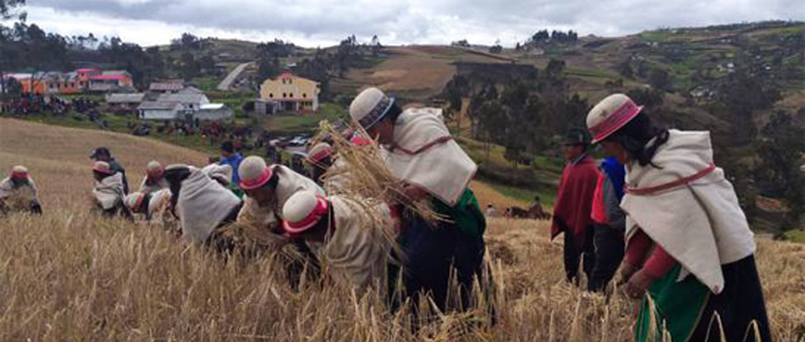 El pedido "al señor de la cosecha"
