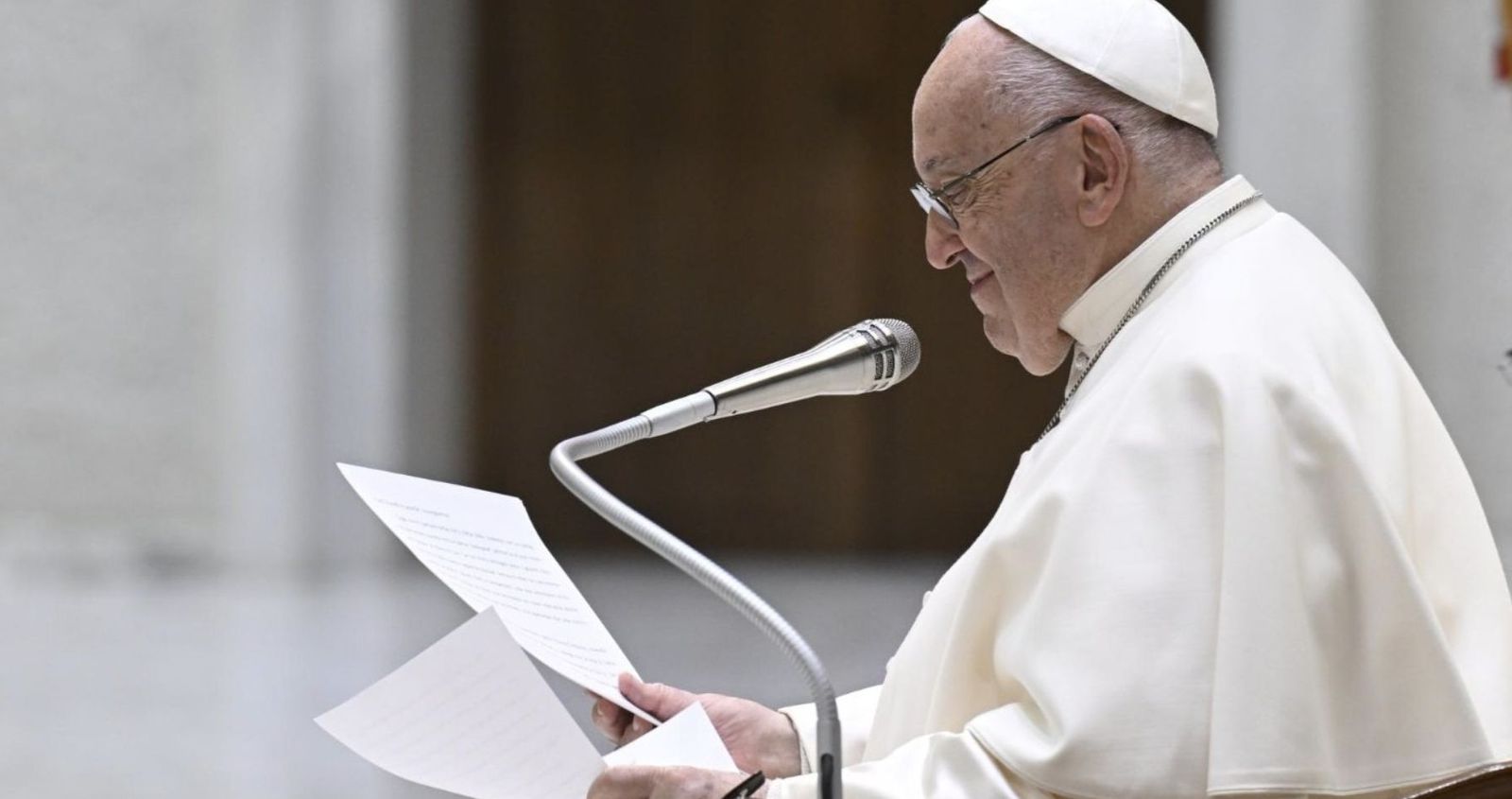 El papa, en la audiencia