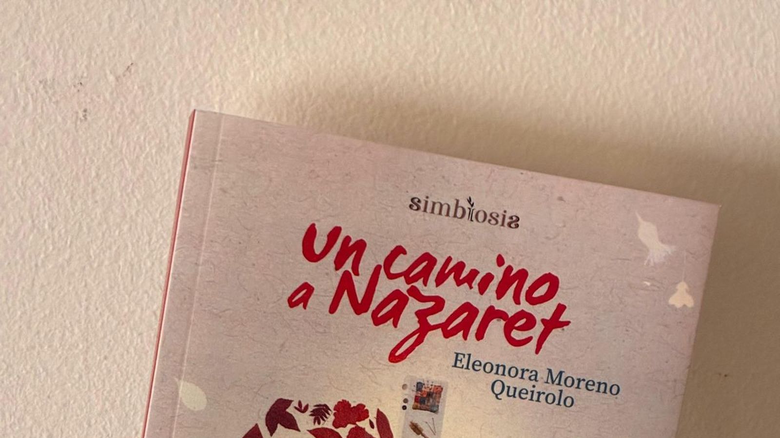 Hermanitas de los Pobres Libro