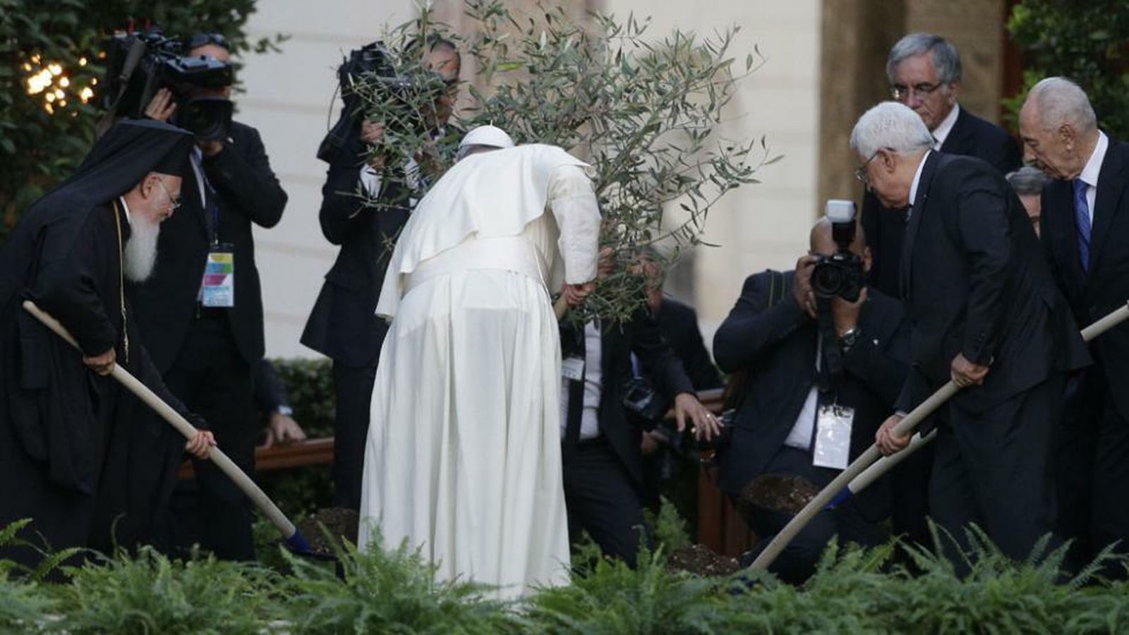 El Papa planta un olivo en el Vaticano por la paz
