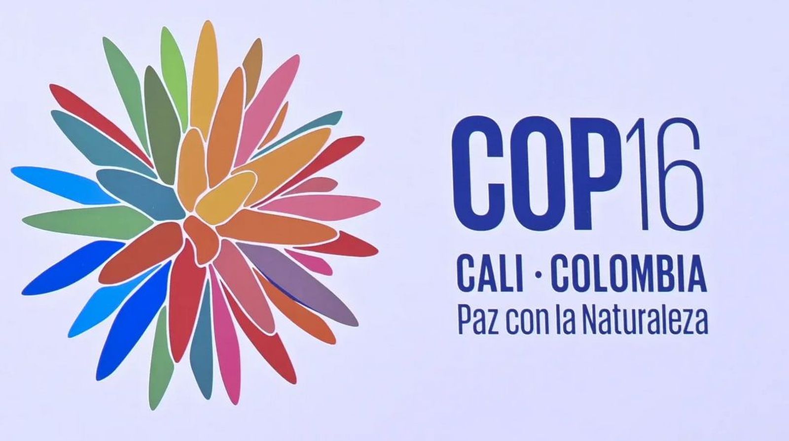 cop16