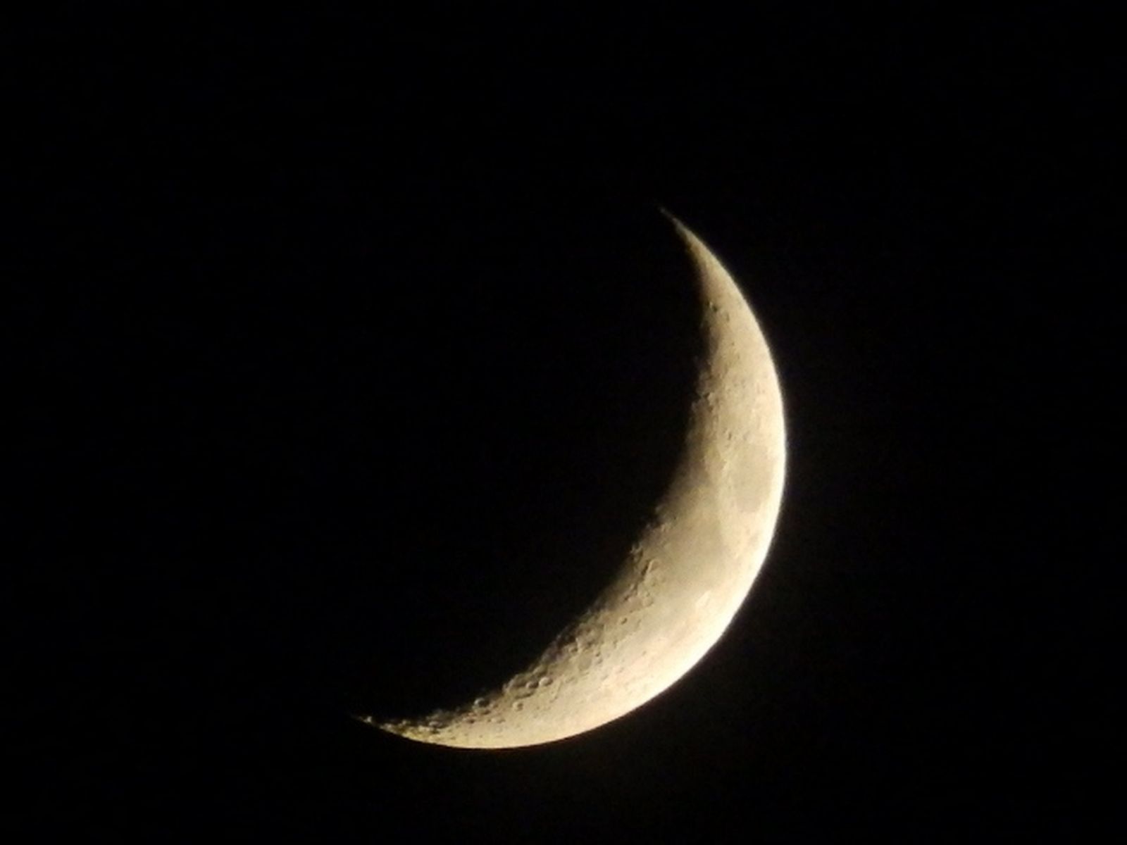 Hay que garantizar el acompañamiento en la enfermedad, en la muerte y en el duelo