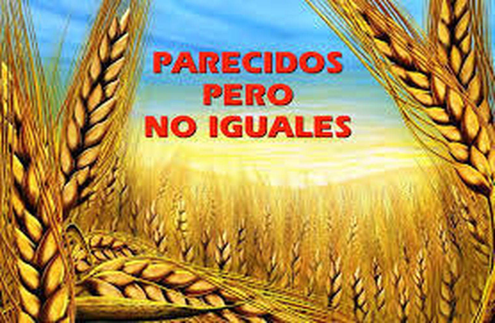 Aprendamos a valorar lo que merece la pena