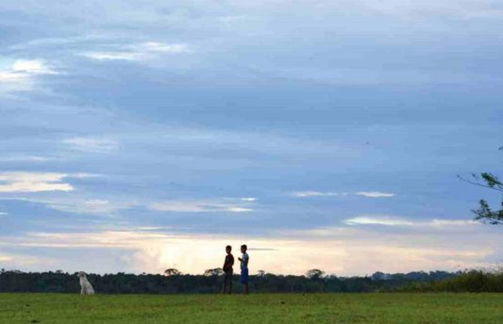 40 días navegando con Laudato Si en la Querida Amazonía