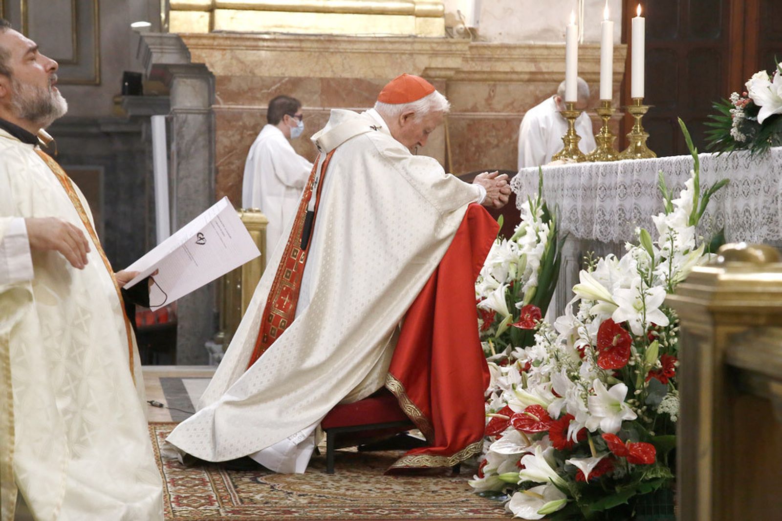 Cañizares pide que no se aprueba la nueva Ley de Educación
