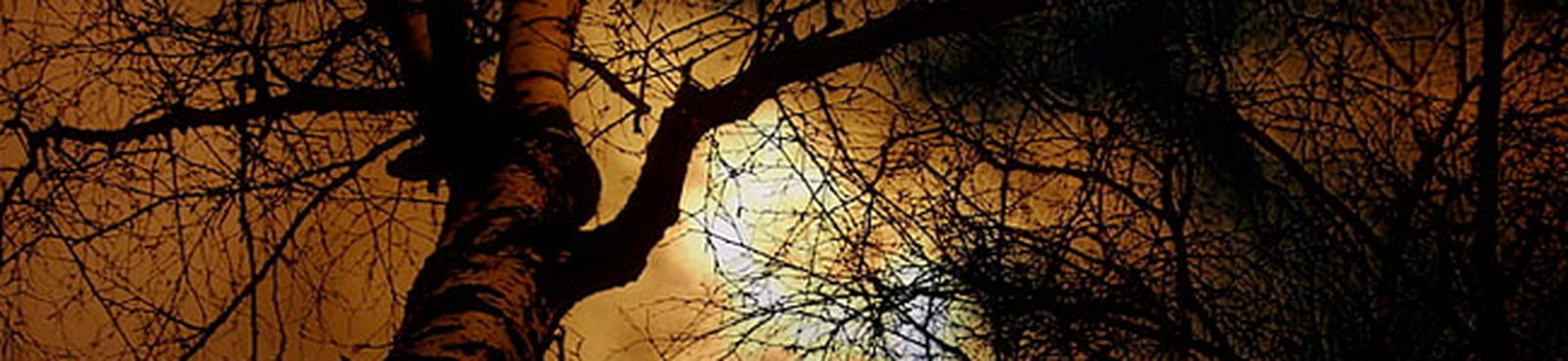 o-magne-pater-bingen