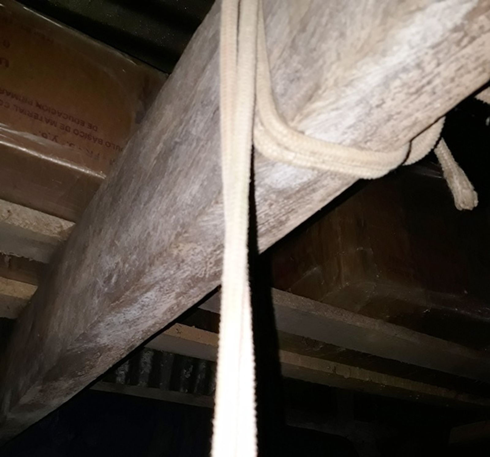 Suicidio adolescente