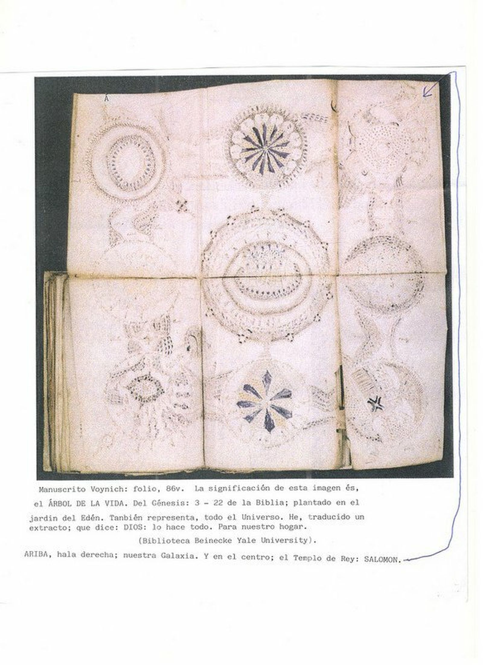 Voynich
