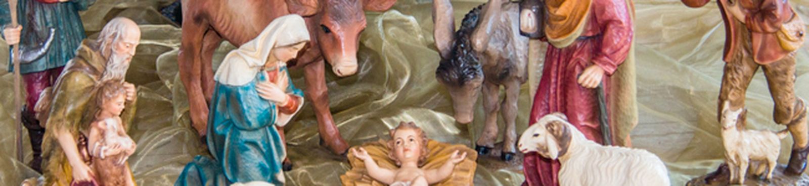 pastores-currite-flor