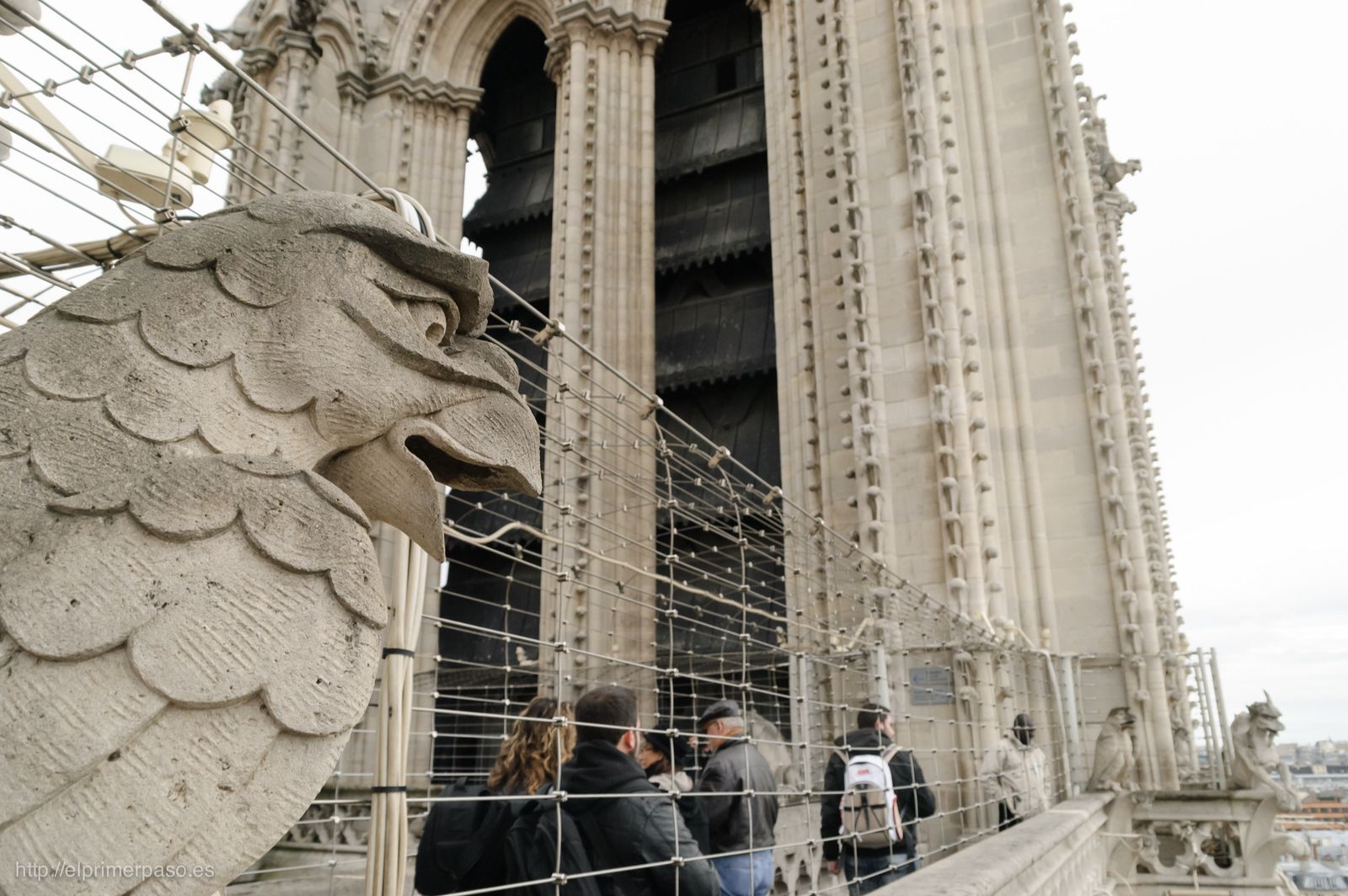 Campanario de Notre Dame, París