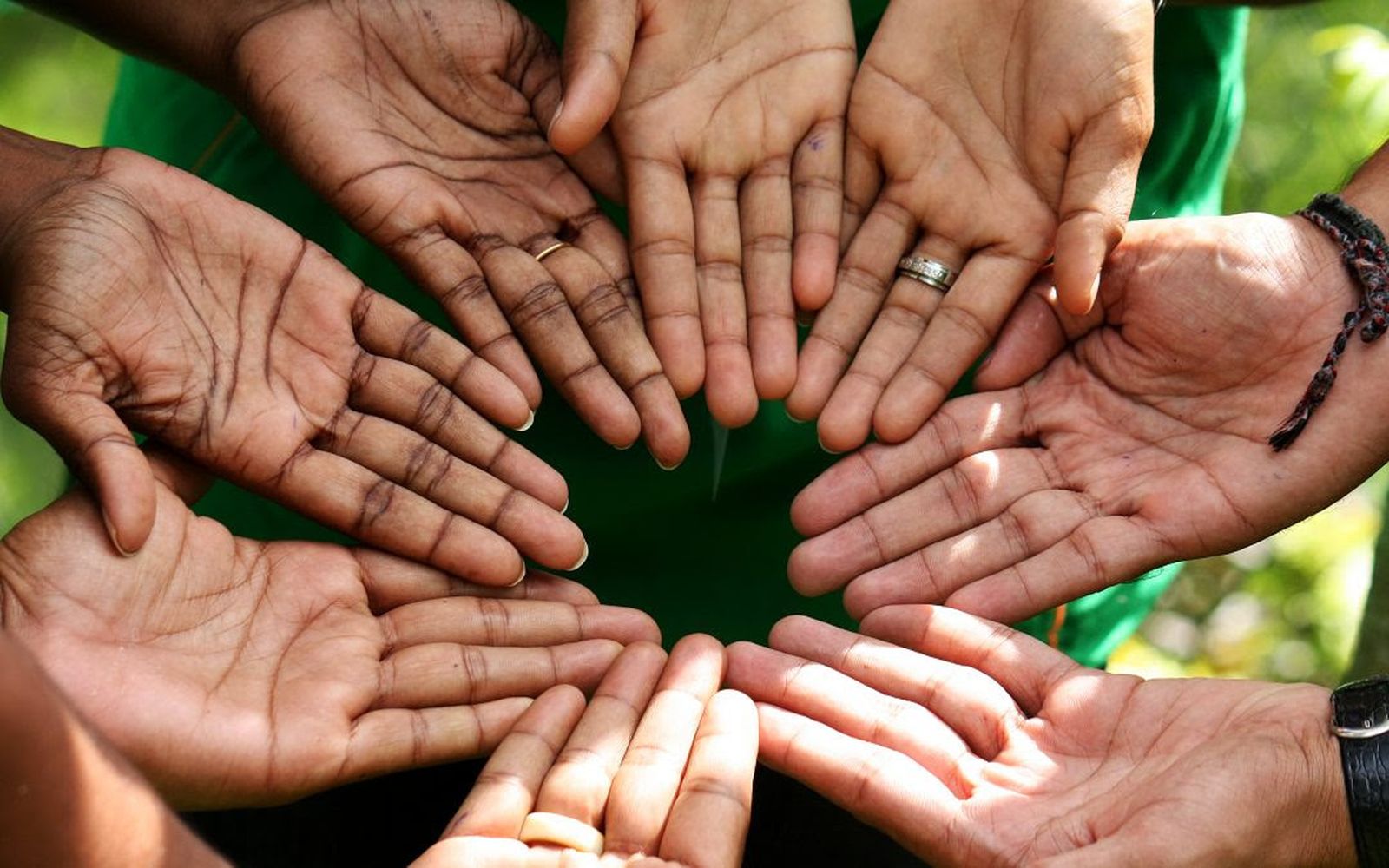 El Movimiento Laudato Si’ abre la inscripción para el programa Animadores