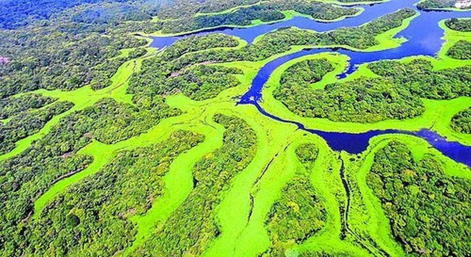 amazonia