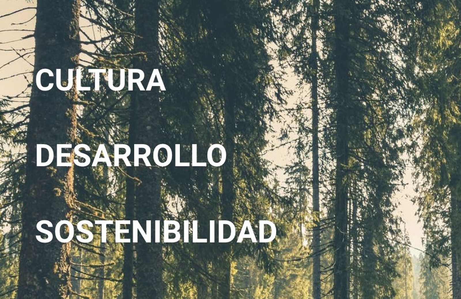 Embajadores para el desarrollo