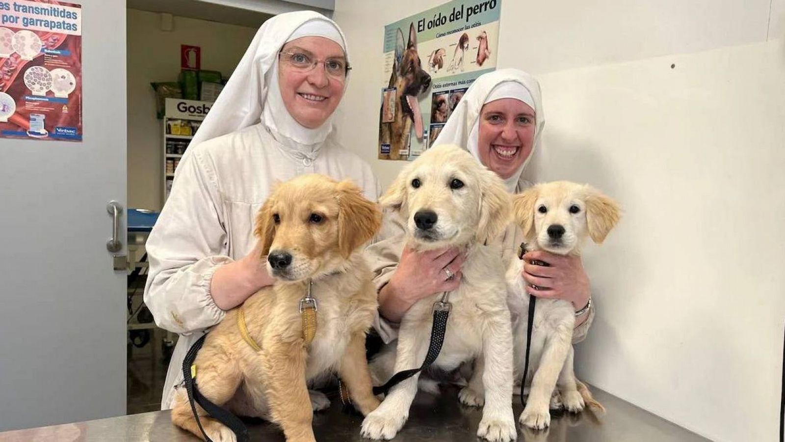 Las ex monjas cismáticas, con algunos de los perros