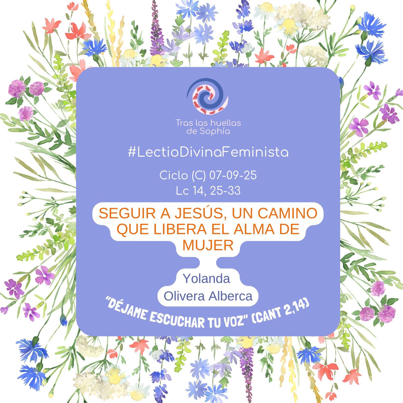 SEGUIR A JESÚS, UN CAMINO QUE LIBERA EL ALMA DE MUJER