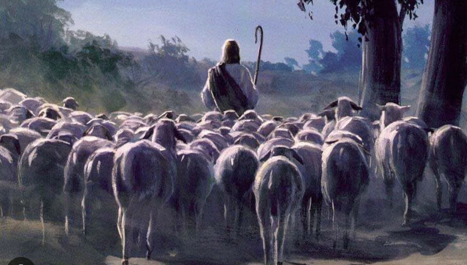 La puerta de las ovejas