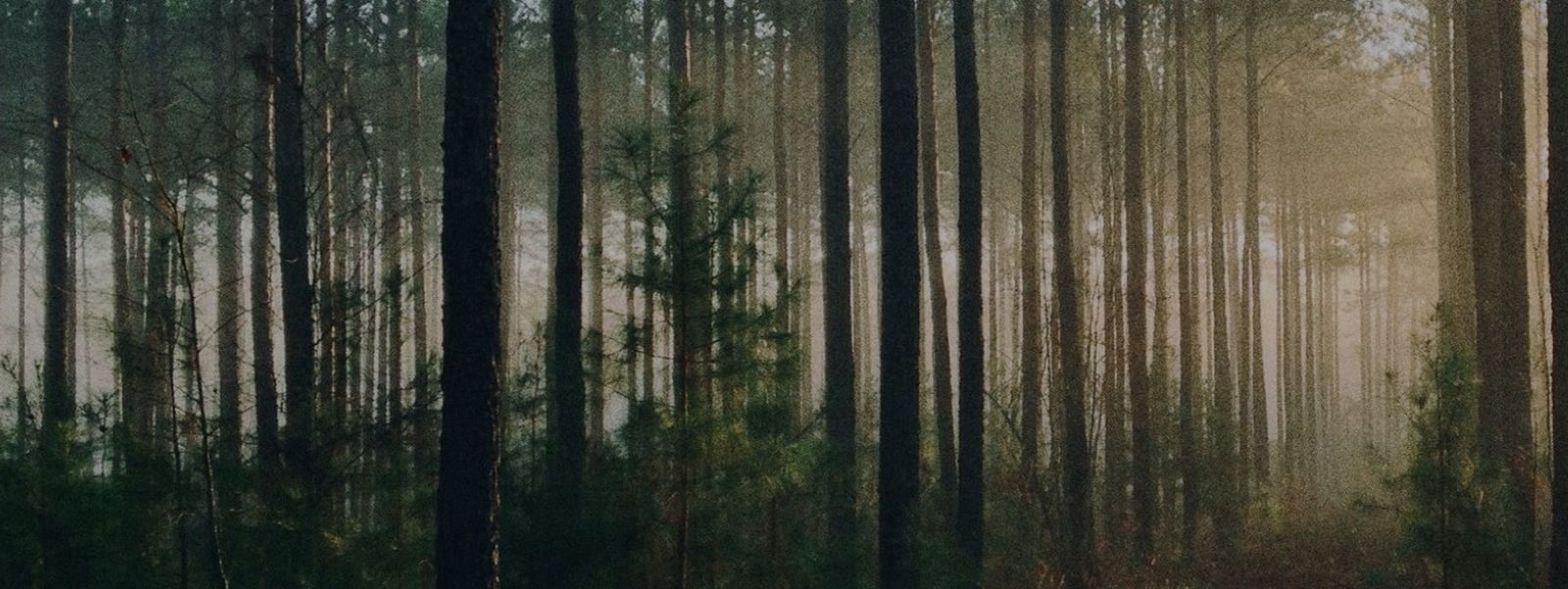 Compromiso de Inversión de Impacto Católico