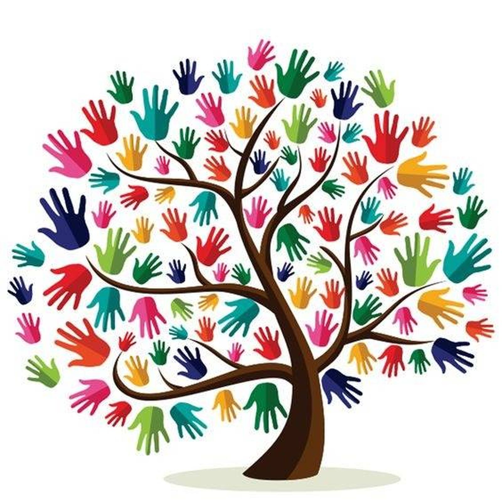 Diversidad cultural