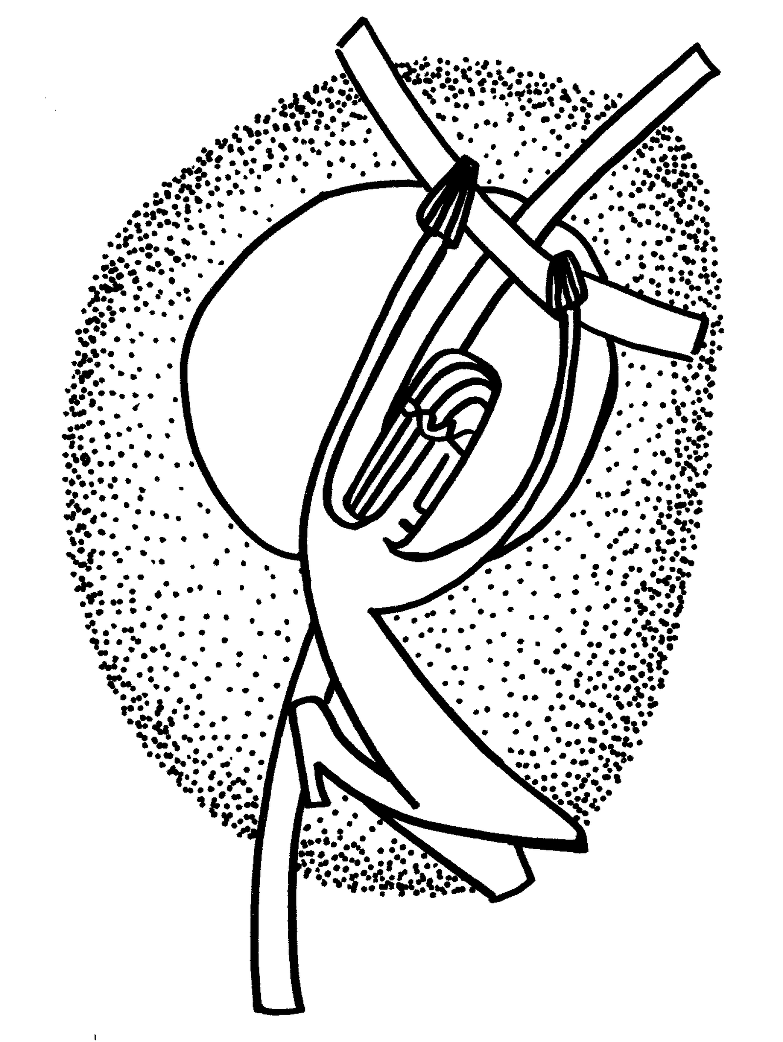 Viacrucis de la actualidad, image size:1600x2129