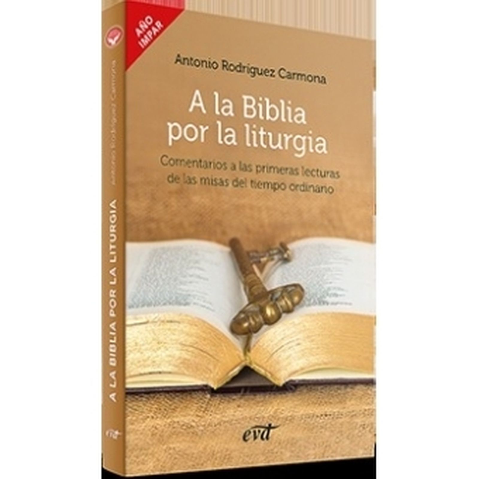 Biblia por la liturgia