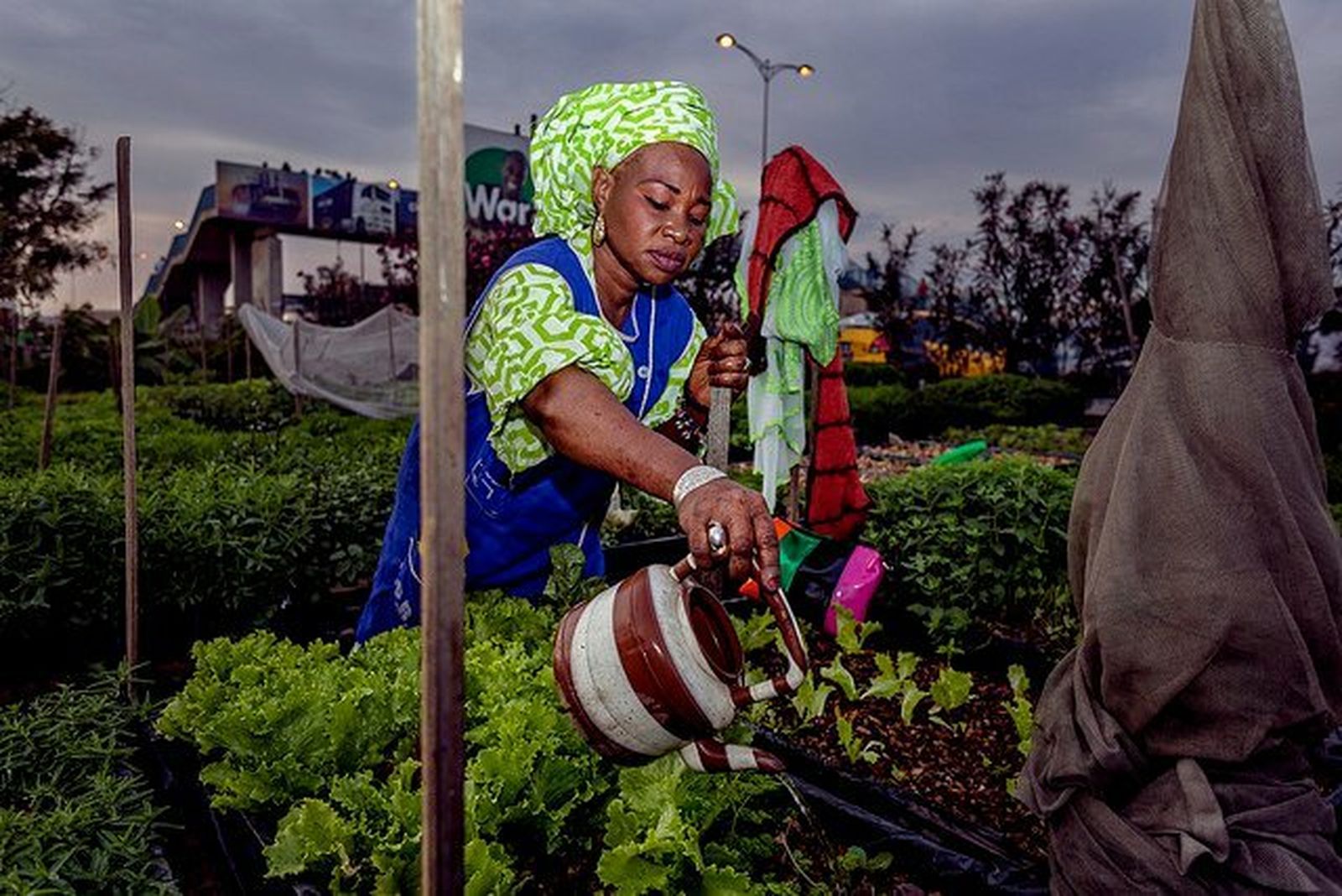 Lucha contra el hambre