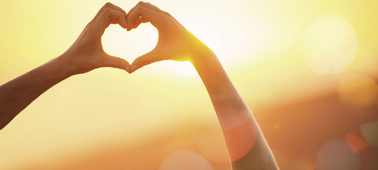 El arte de ternuriarnos.