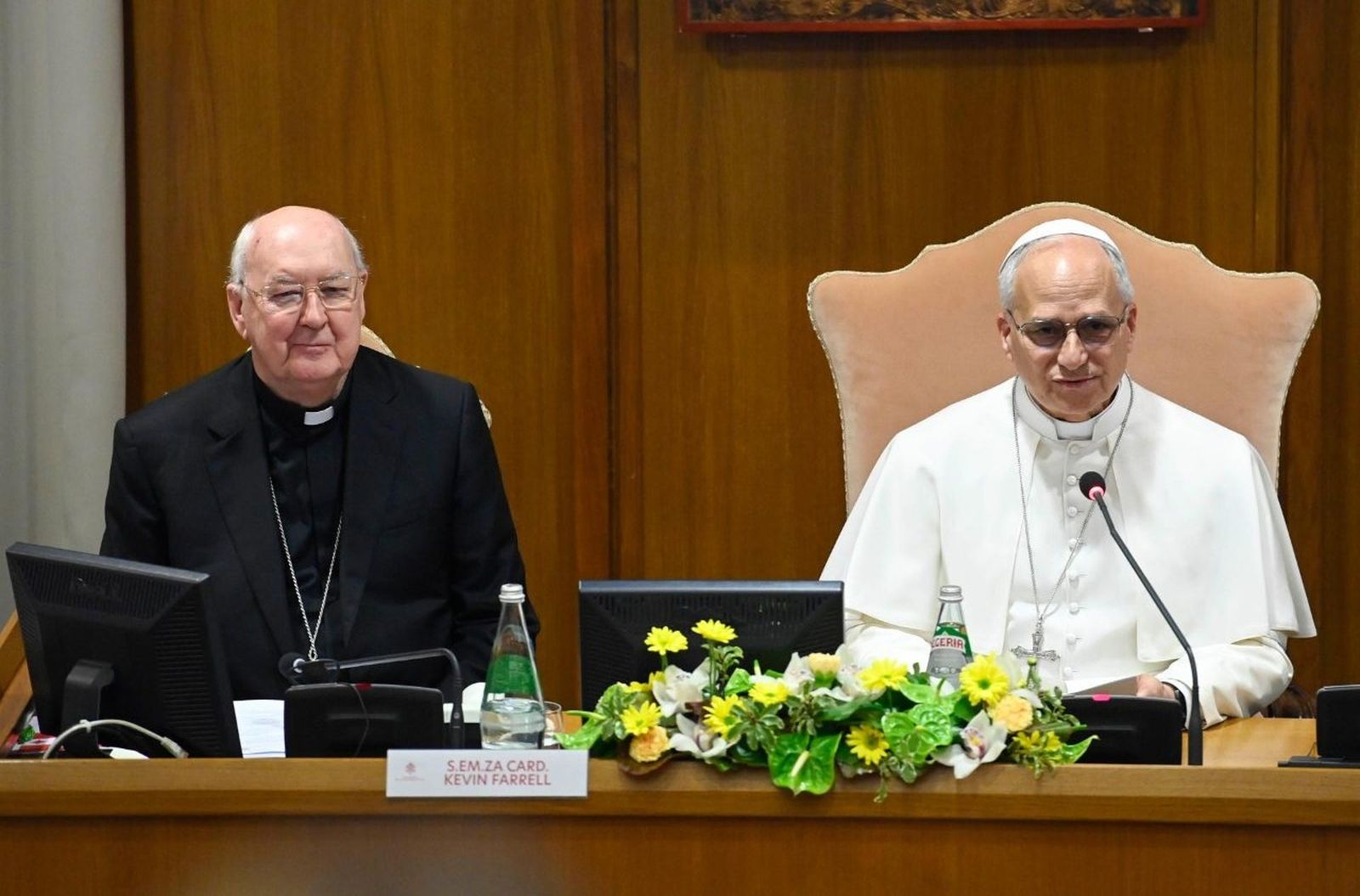 Cardenal Farrell y León XIV con los participantes en el encuentro con los Movimientos Eclesiales y de las Nuevas Comunidades