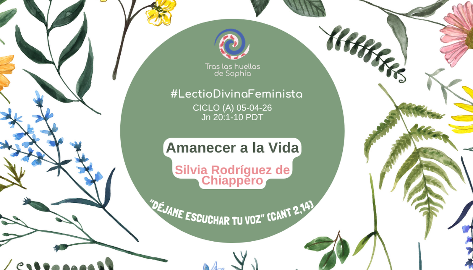 Lectio Divina Feminista ciclo A 2026