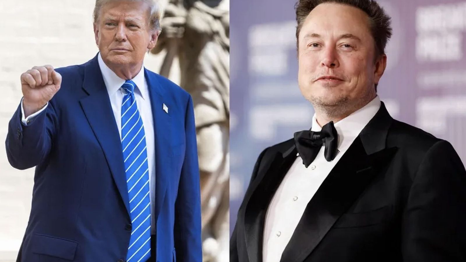 Donal Trump y Elon Musk
