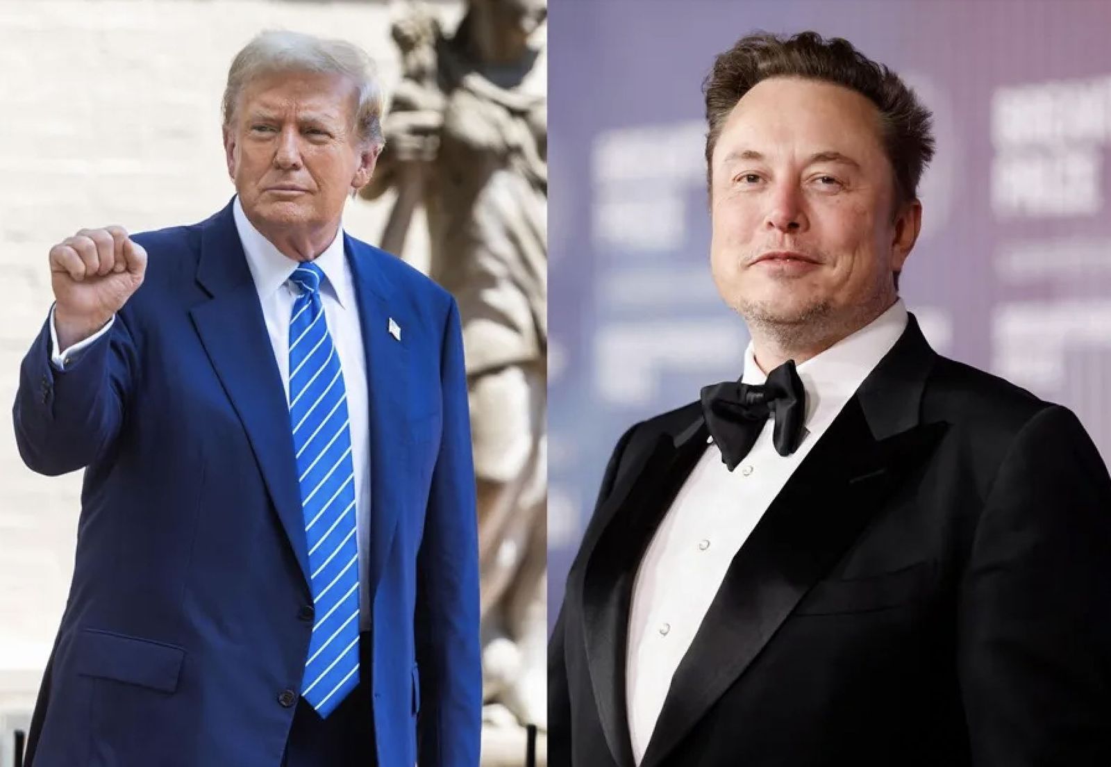 Donal Trump y Elon Musk