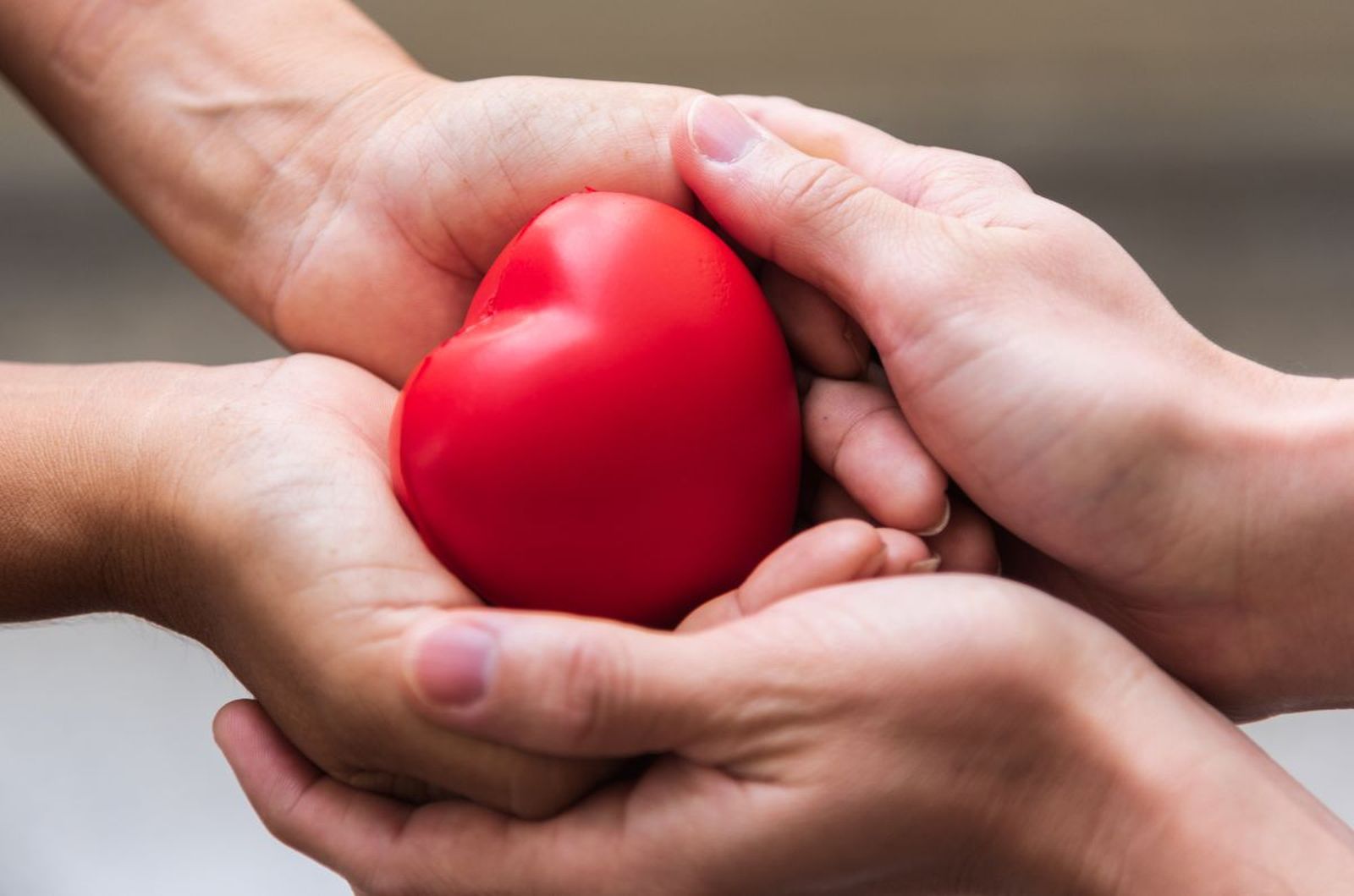 Razones para la ternura