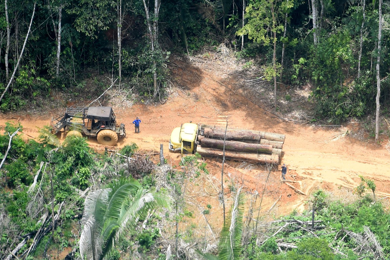 Tierra Indígena Karipuna siendo devastada. Foto Chico Batata/Greenpeace