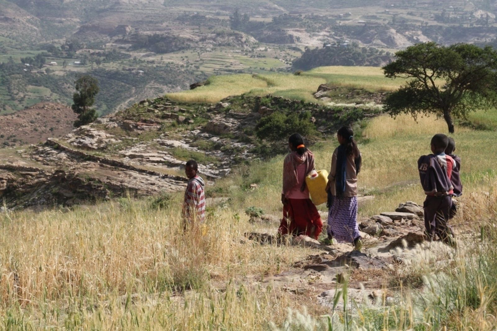 Agua, desafío global