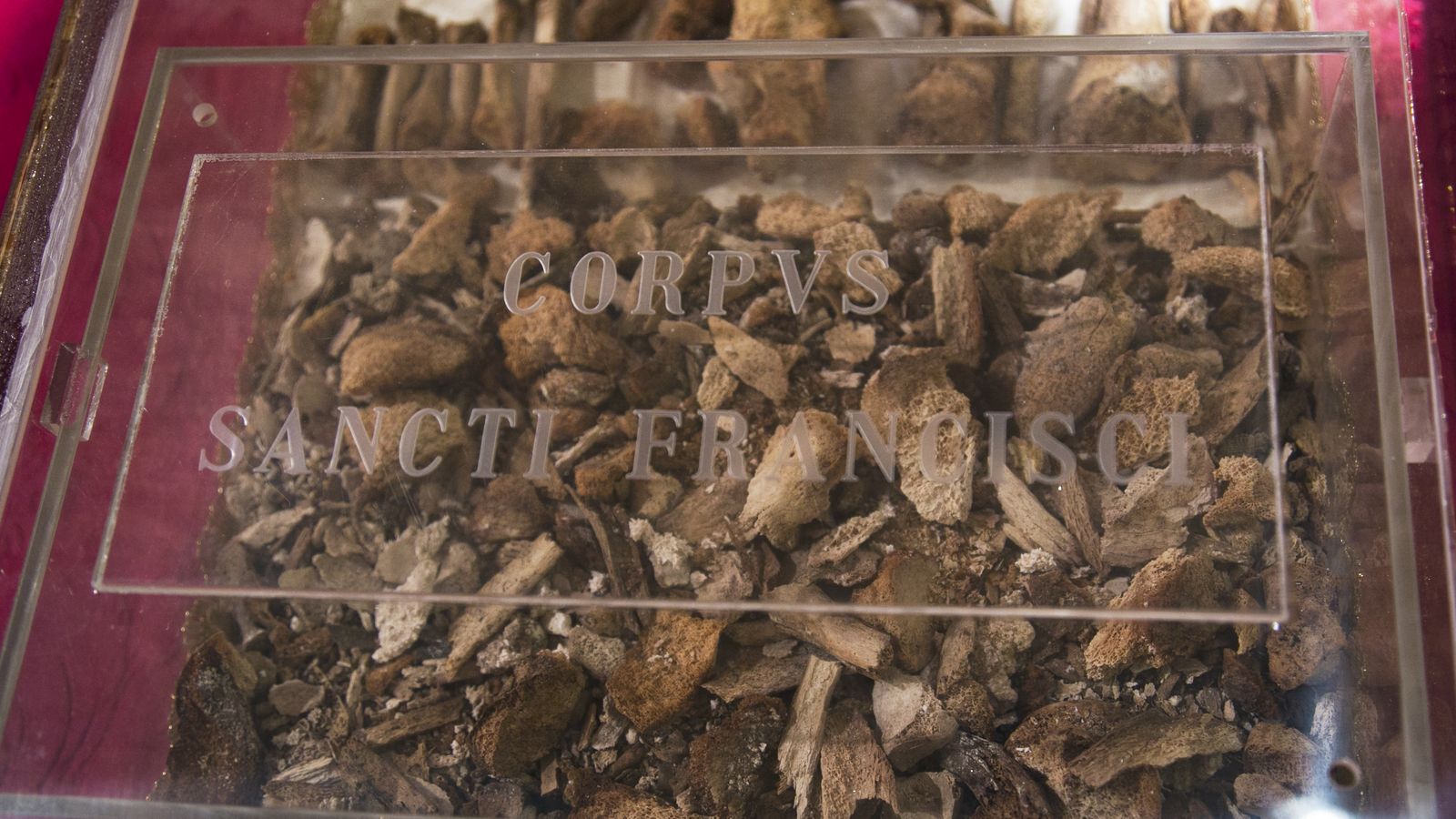 Restos de San Francisco de Asís