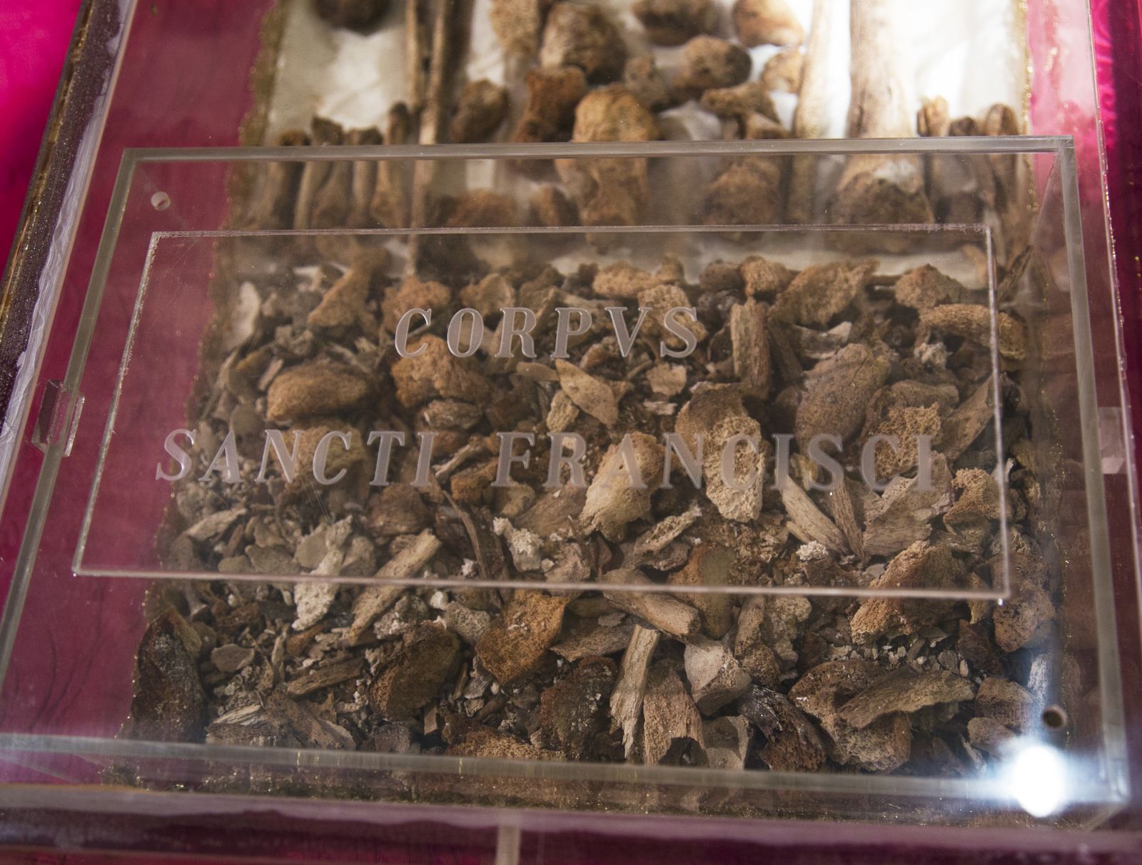 Restos de San Francisco de Asís