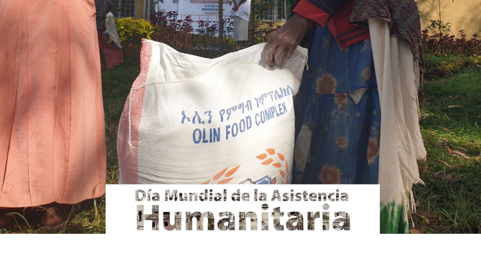 19 de agosto, Día Mundial de la Asistencia Humanitaria