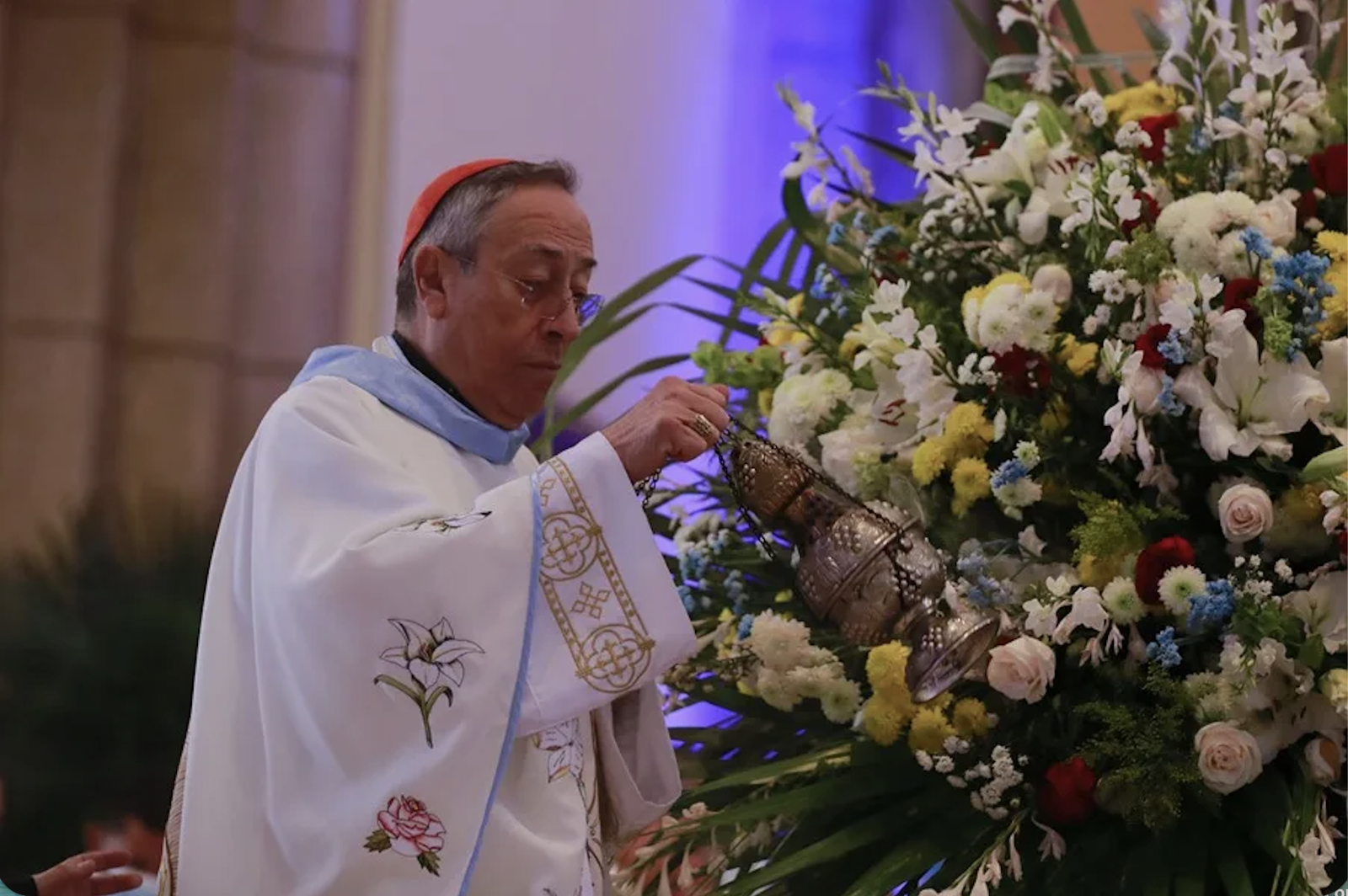 El cardenal Maradiga