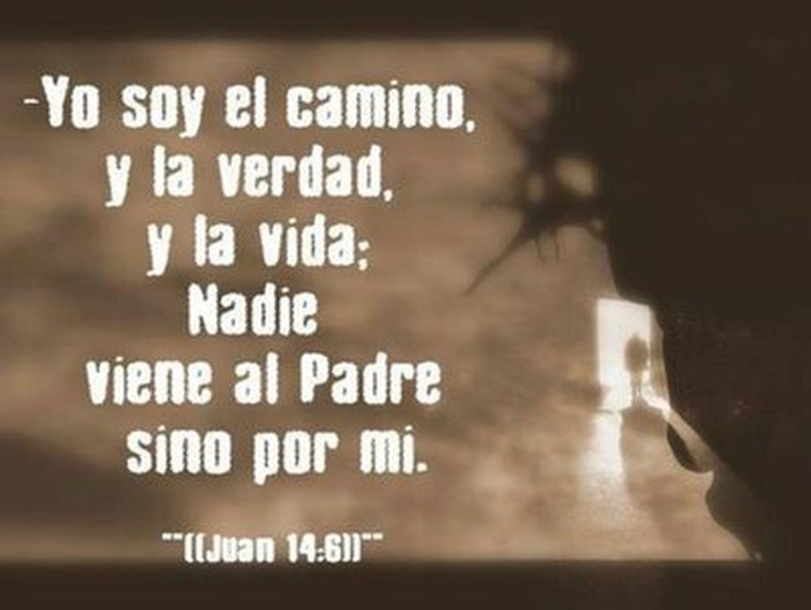 Jesús, el Camino, la Verdad y la Vida