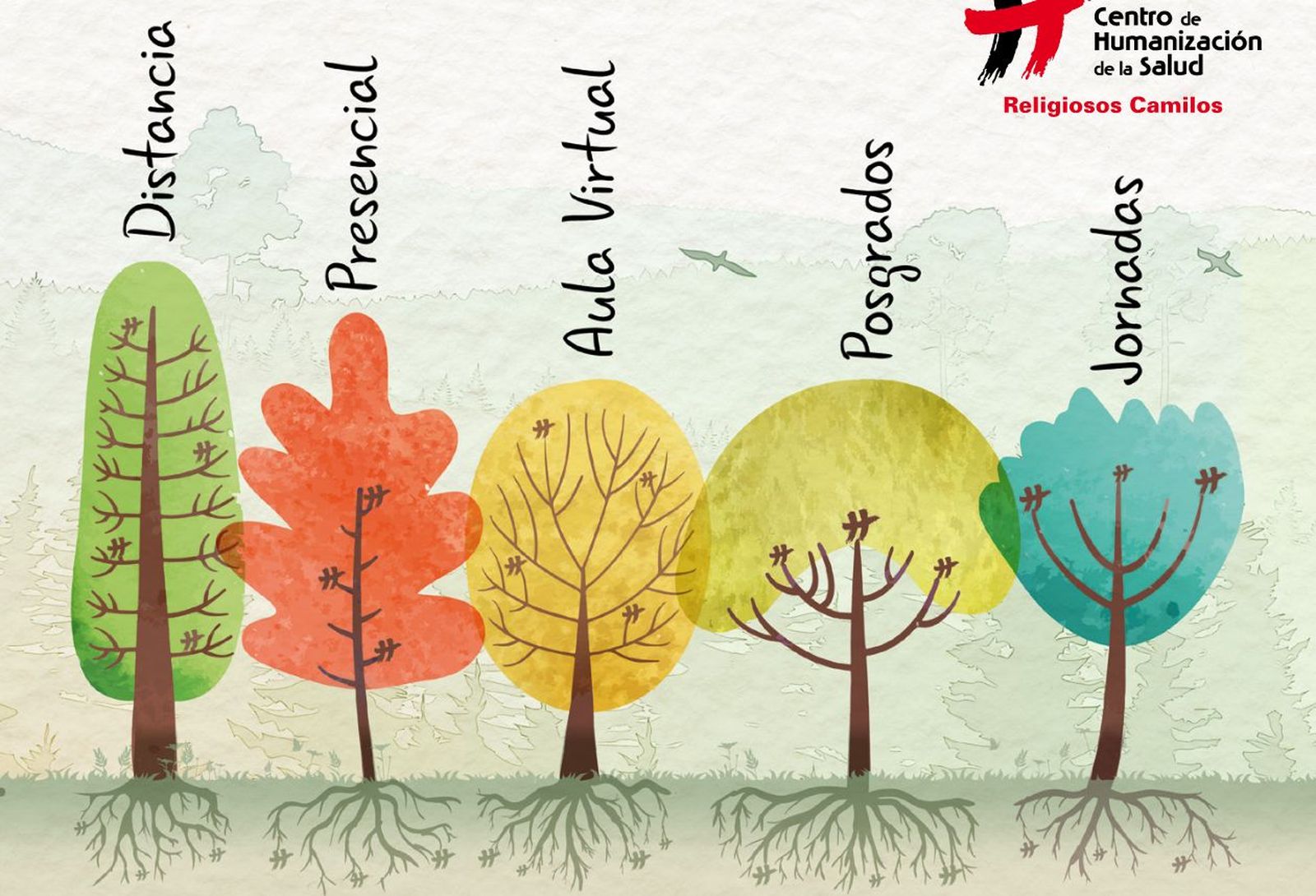 Actividades en el Centro de Humanización de la Salud