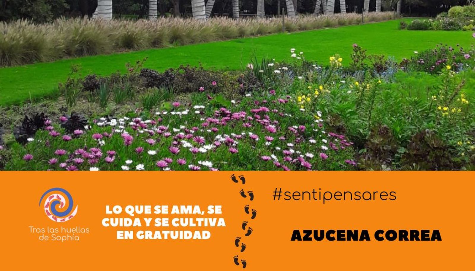 Lo que se ama, se cuida y se cultiva en gratuidad