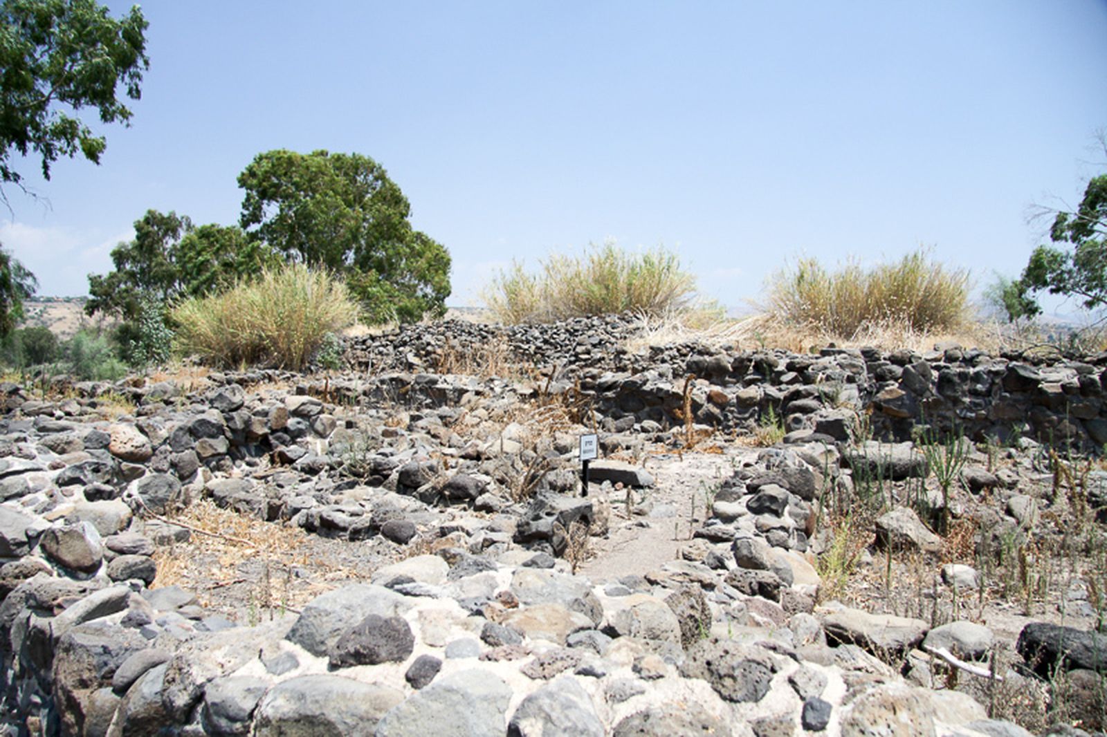 Hallan los restos de Betsaida, donde Jesús realizó el milagro de los panes y los peces