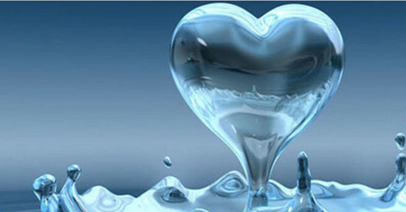 Mística de la co-pertenencia