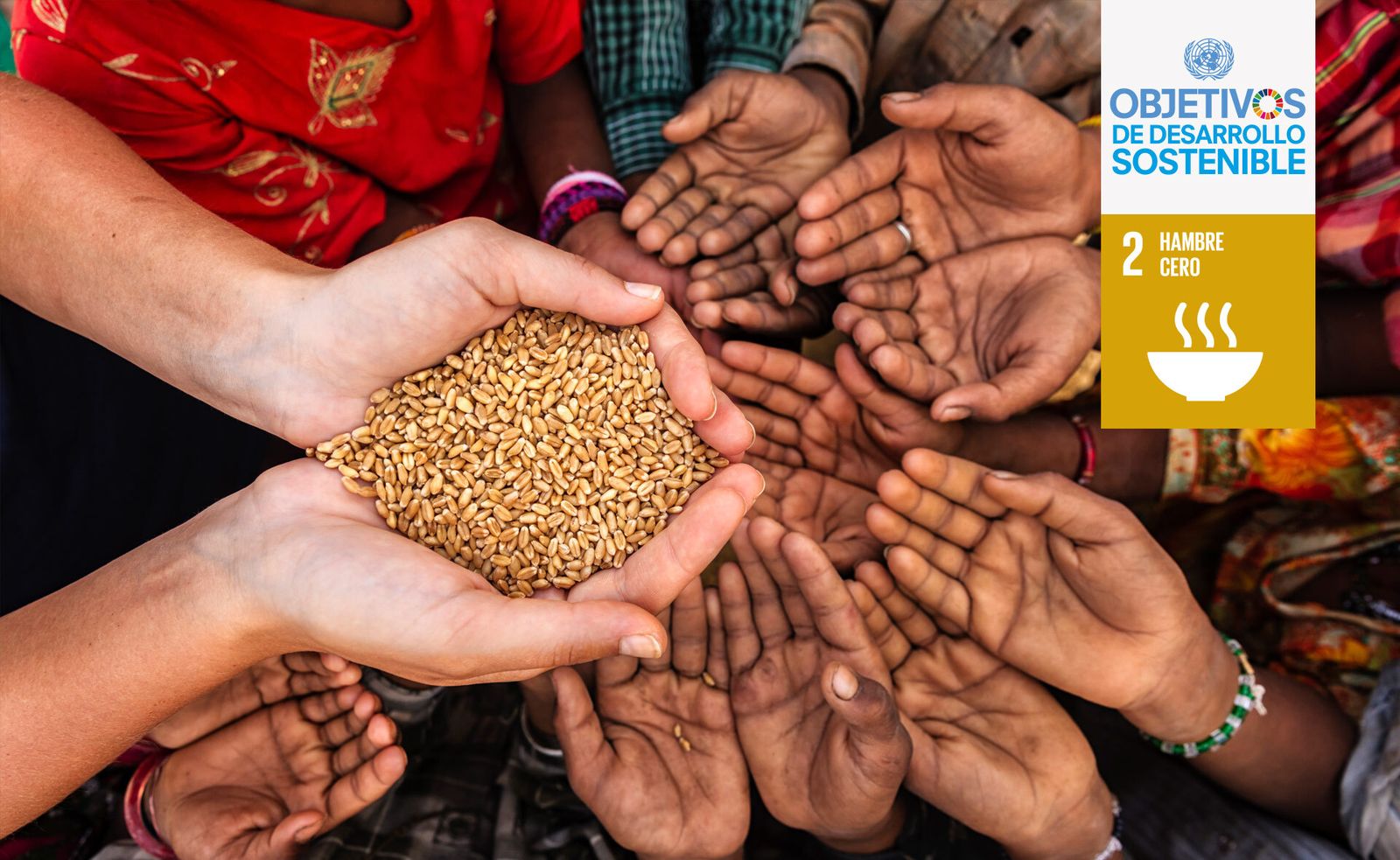 ¿Objetivo? Hambre cero
