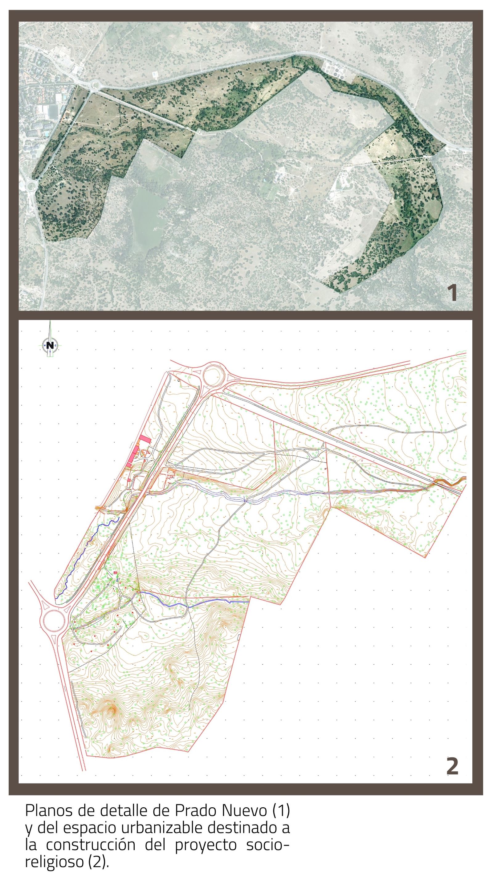 Proyecto de Prado Nuevo