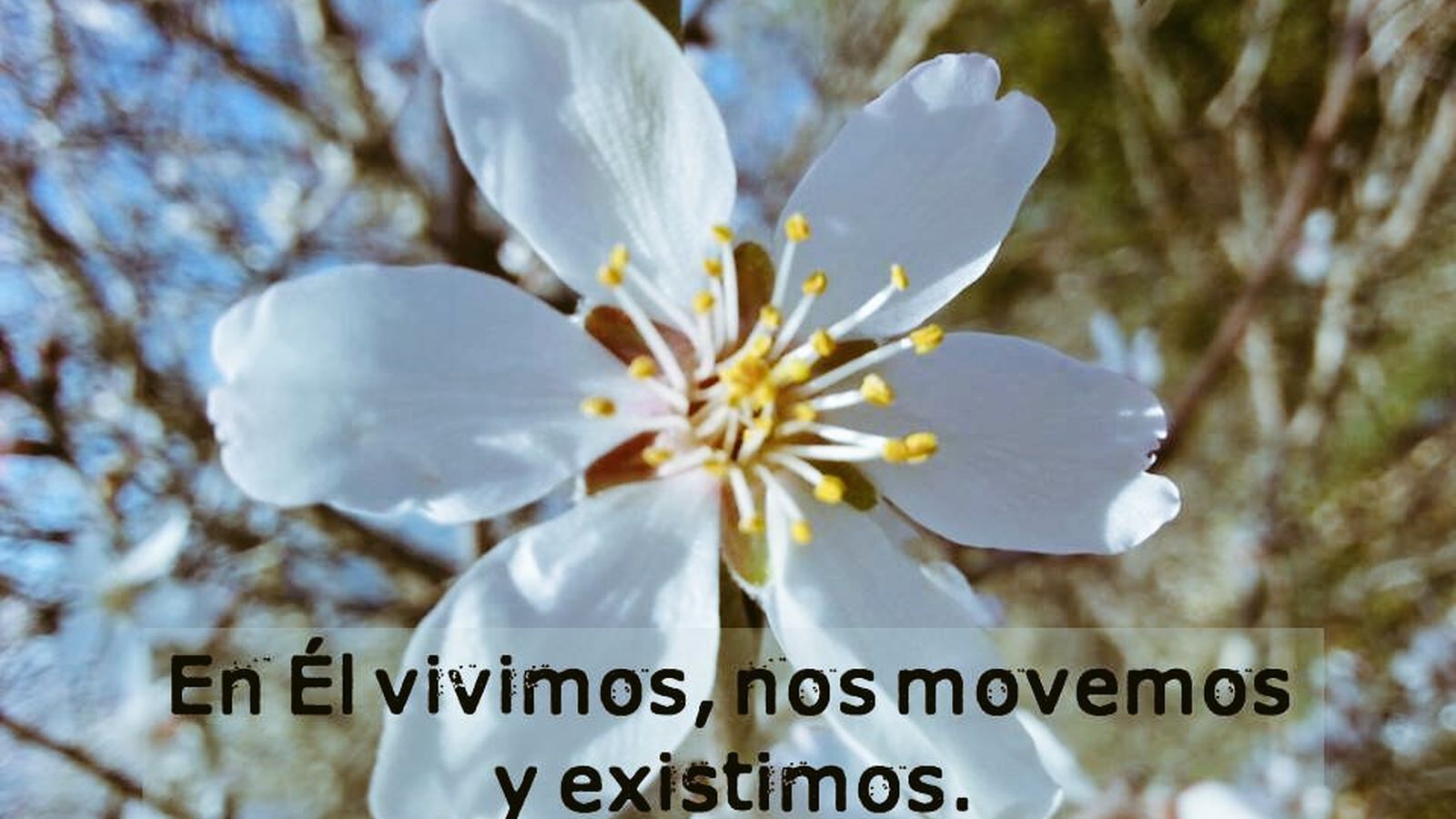 En Él vivimos, nos movemos y existimos